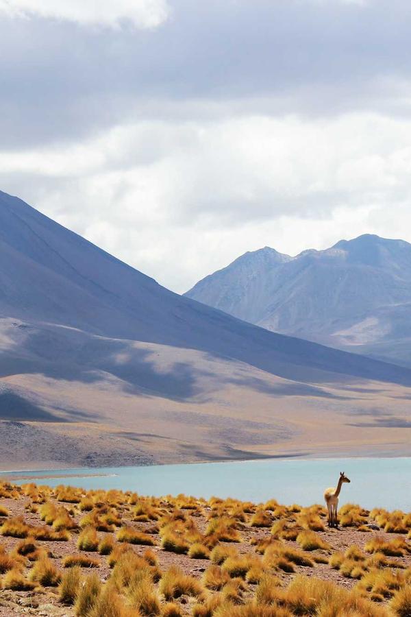 Paysage arctique